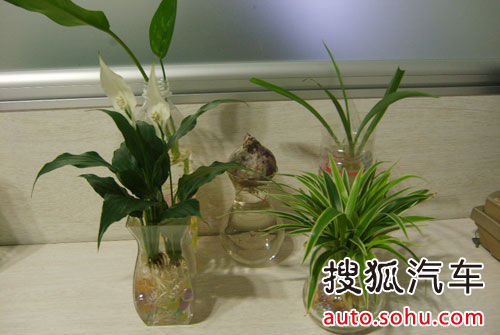 新车除味方法大全 六点除味小妙招交给您
