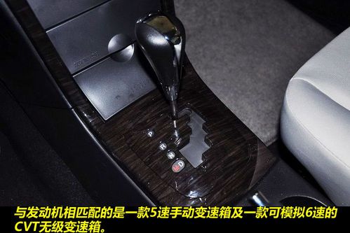 海马 福美来 实拍 图解 图片